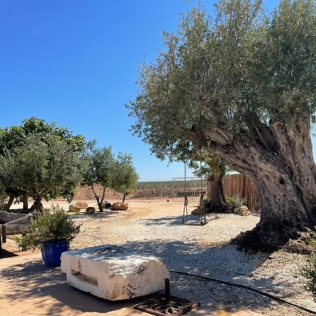 Villa La Casa Del Olivo à Écija Extérieur photo